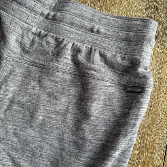 Icebreaker Crush Merino Wool Jogger Pant - Picture 6 of 7